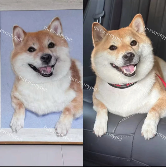 Custom Wool Felt Pet Portrait (Relief Style) in Wooden Frame | furevermypet