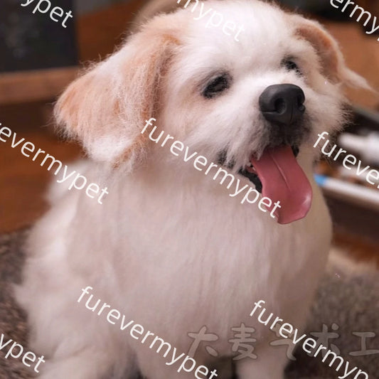 Custom 3D Stuffed Animal from Your Pet Photo | Lifelike Full-Body Replica