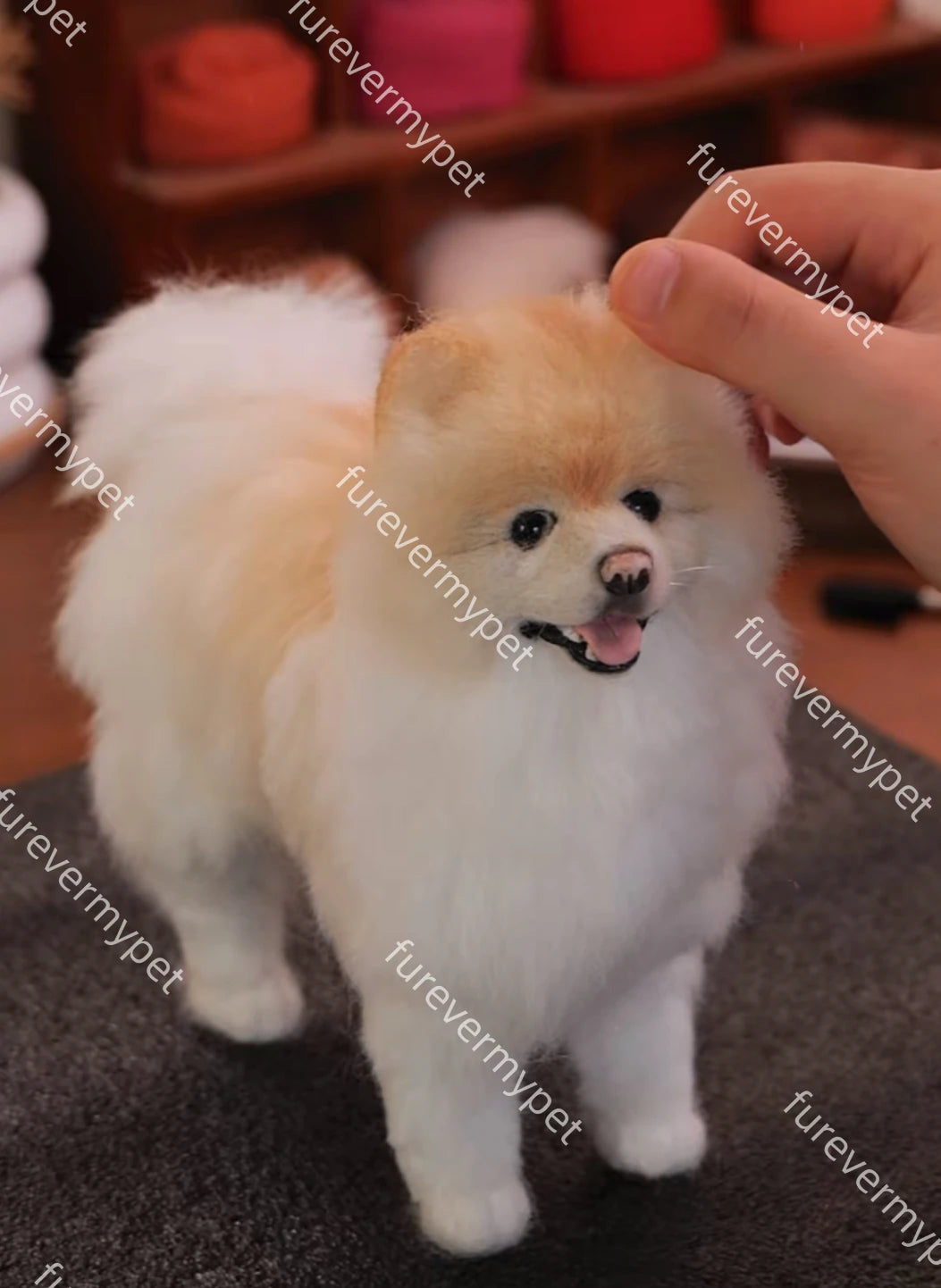 Custom 3D Stuffed Animal from Your Pet Photo | Lifelike Full-Body Replica