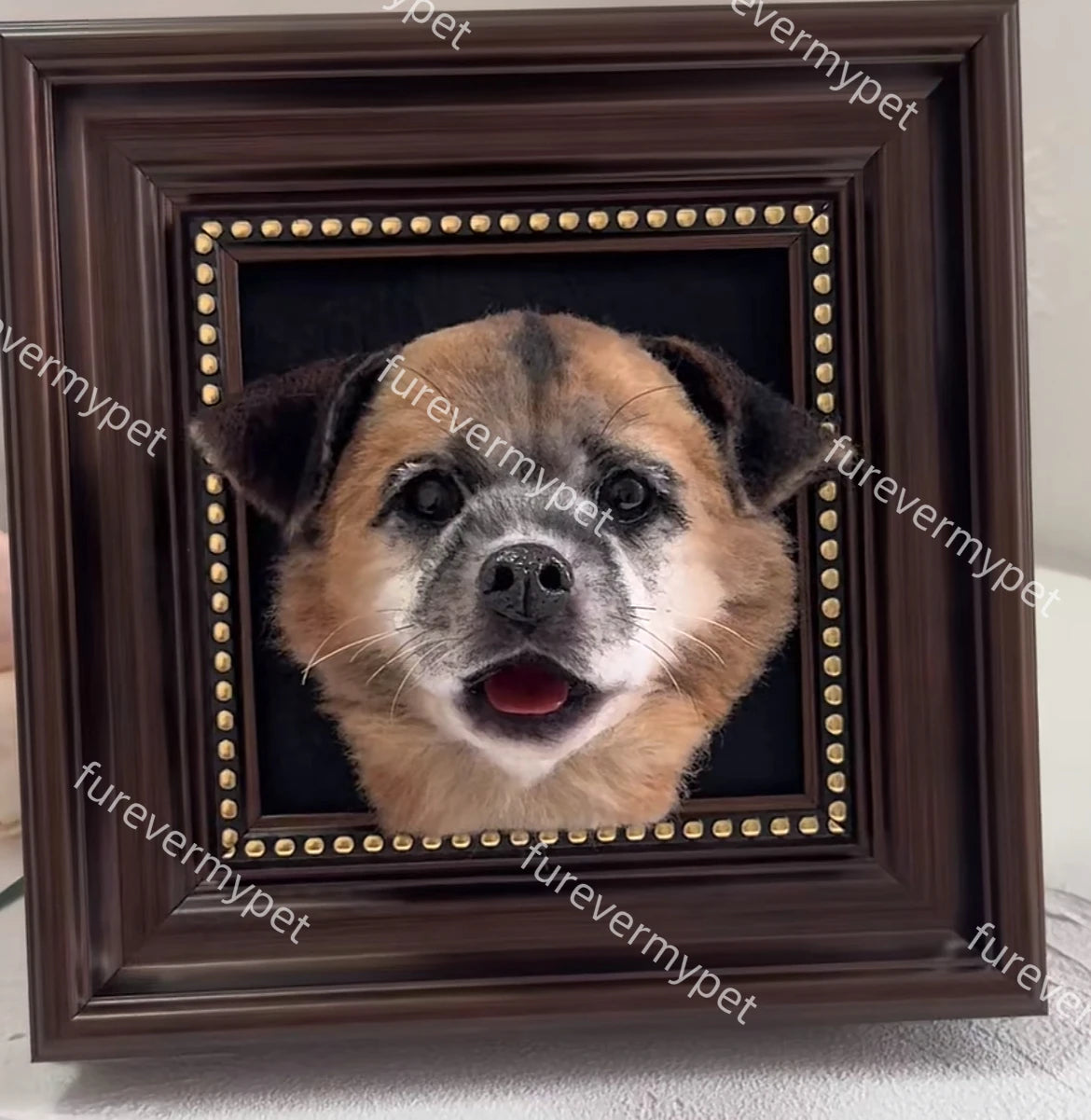 Personalized Pet Plush Clone with Wooden Frame | furevermypet
