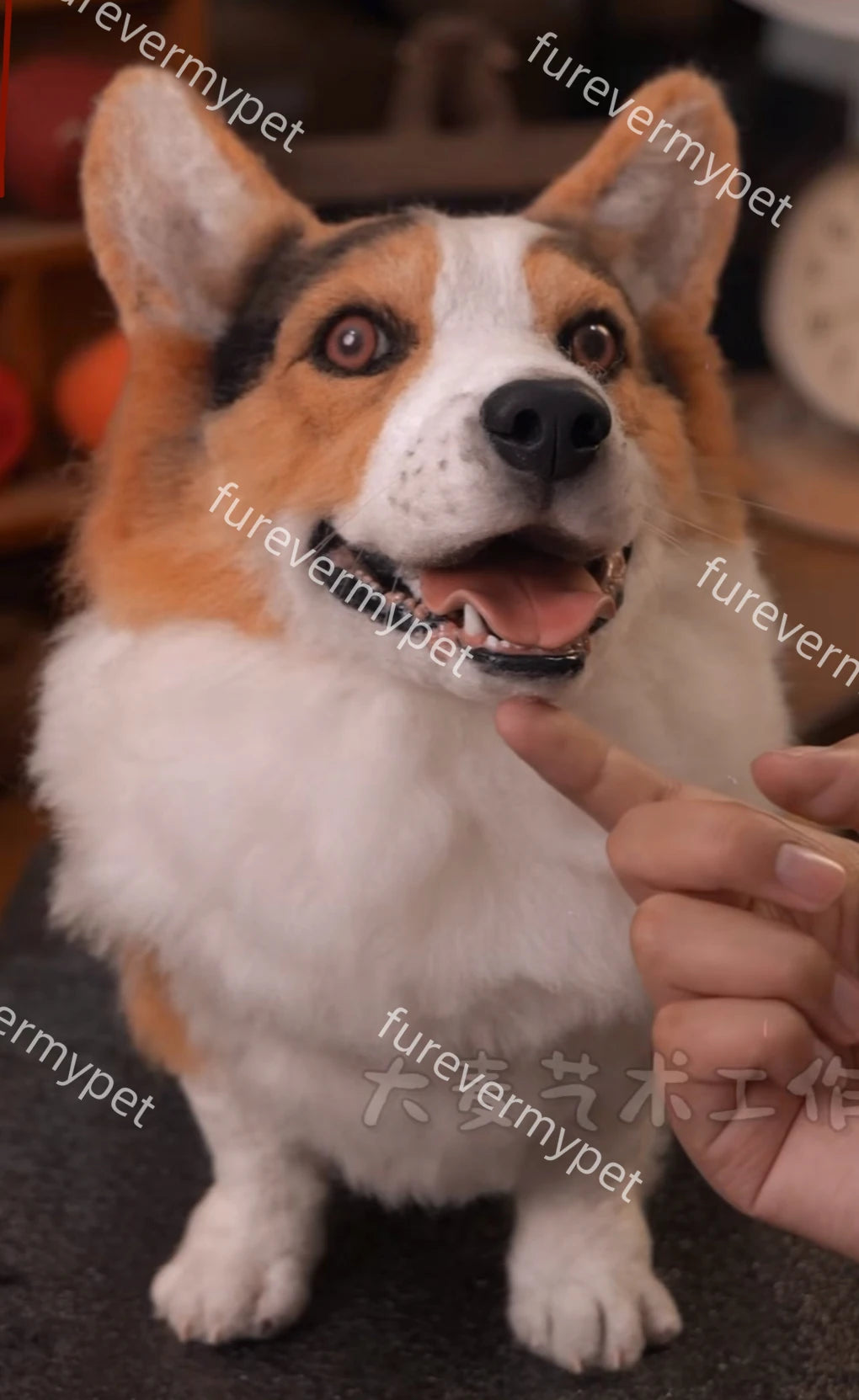Custom 3D Stuffed Animal from Your Pet Photo | Lifelike Full-Body Replica