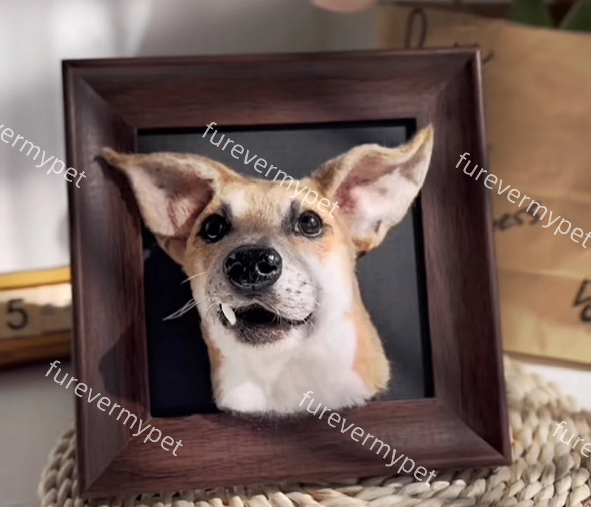 Personalized Pet Plush Clone with Wooden Frame | furevermypet