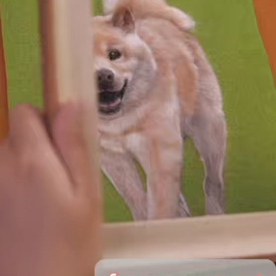 Custom Wool Felt Pet Portrait (Relief Style) in Wooden Frame | furevermypet