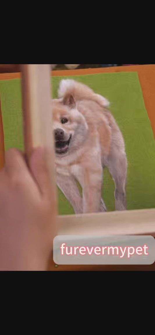 Custom Wool Felt Pet Portrait (Relief Style) in Wooden Frame | furevermypet