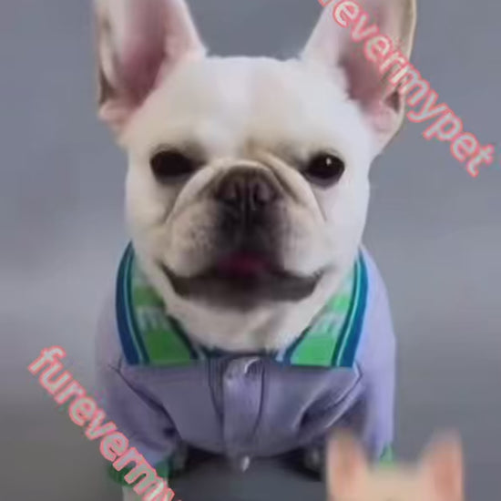 Custom 3D Printed Pet Figurine from Your Photo | furevermypet