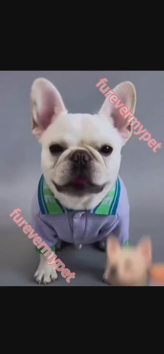 Custom 3D Printed Pet Figurine from Your Photo | furevermypet