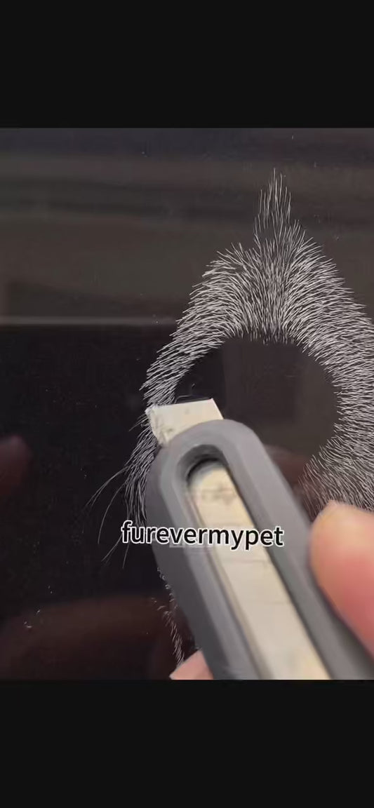 Custom Scratch Art 3D Pet Portrait from Your Photo | furevermypet