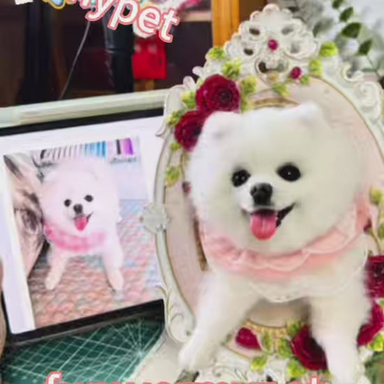 Personalized Pet Plush Clone with Wooden Frame | furevermypet