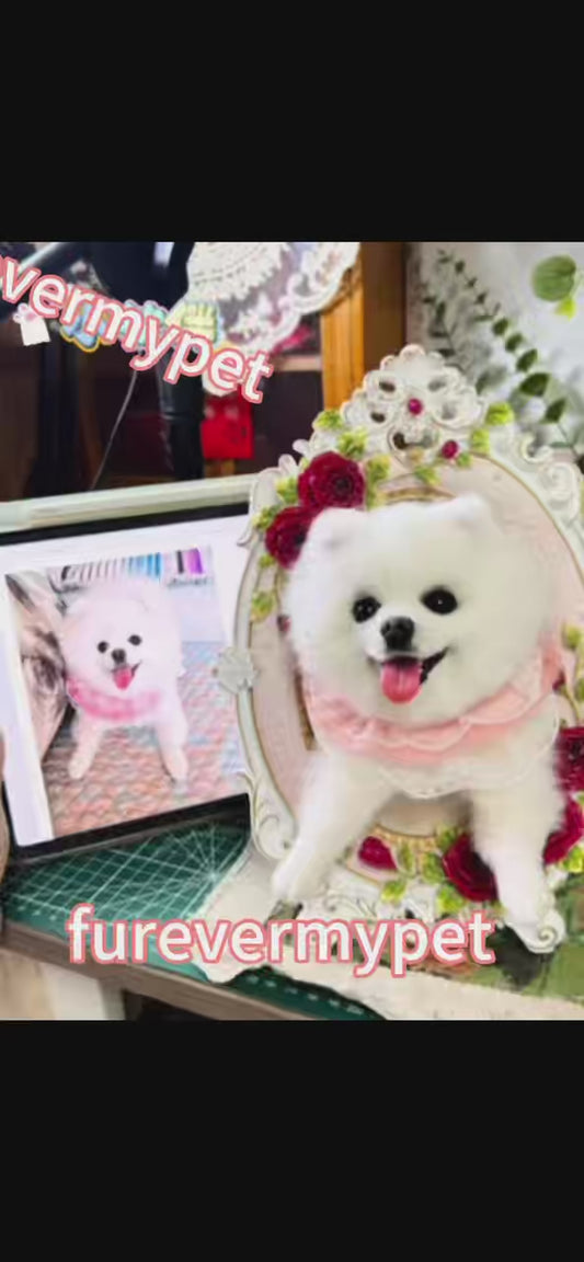 Personalized Pet Plush Clone with Wooden Frame | furevermypet